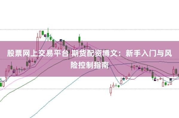 股票网上交易平台 期货配资博文：新手入门与风险控制指南