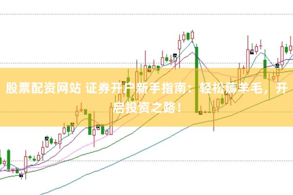 股票配资网站 证券开户新手指南：轻松薅羊毛，开启投资之路！