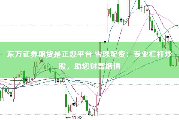 东方证券期货是正规平台 雪球配资：专业杠杆炒股，助您财富增值