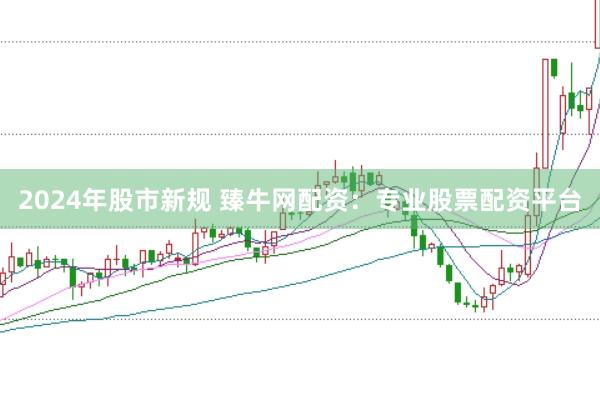 2024年股市新规 臻牛网配资：专业股票配资平台