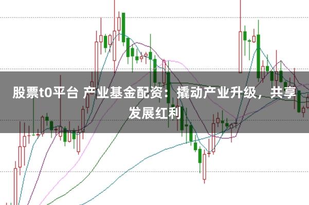 股票t0平台 产业基金配资：撬动产业升级，共享发展红利