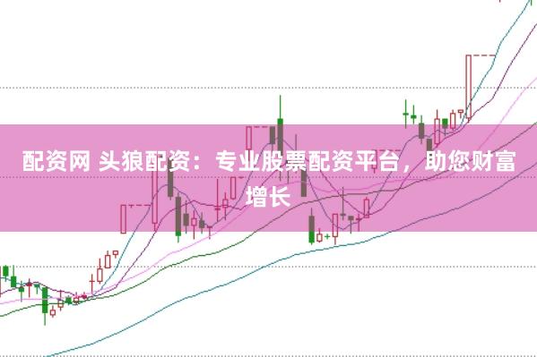 配资网 头狼配资：专业股票配资平台，助您财富增长