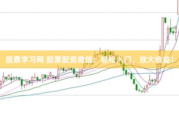 股票学习网 股票配资微信：轻松入门，放大收益！