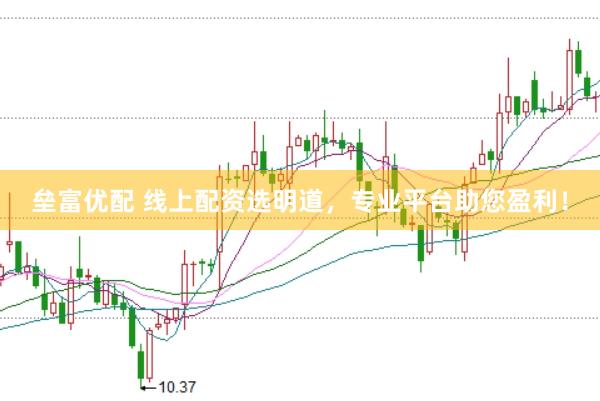 垒富优配 线上配资选明道，专业平台助您盈利！
