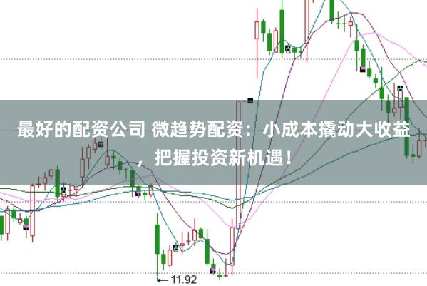 最好的配资公司 微趋势配资：小成本撬动大收益，把握投资新机遇！