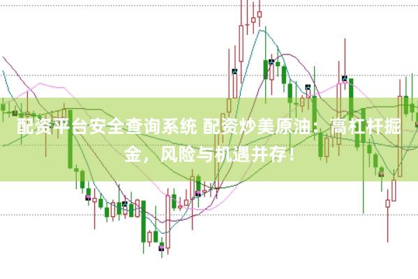 配资平台安全查询系统 配资炒美原油：高杠杆掘金，风险与机遇并存！