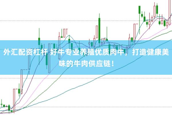 外汇配资杠杆 好牛专业养殖优质肉牛，打造健康美味的牛肉供应链！