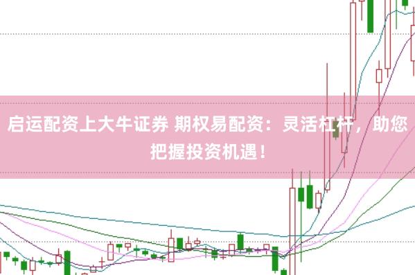 启运配资上大牛证券 期权易配资：灵活杠杆，助您把握投资机遇！