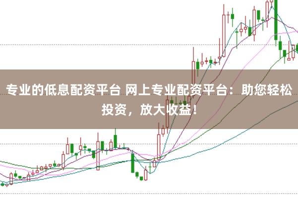 专业的低息配资平台 网上专业配资平台：助您轻松投资，放大收益！