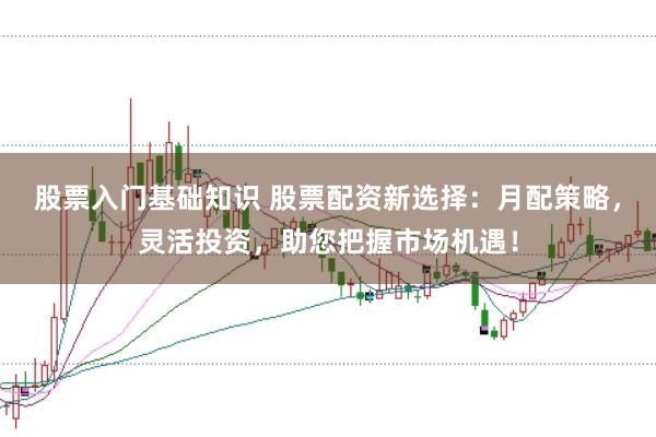股票入门基础知识 股票配资新选择：月配策略，灵活投资，助您把握市场机遇！