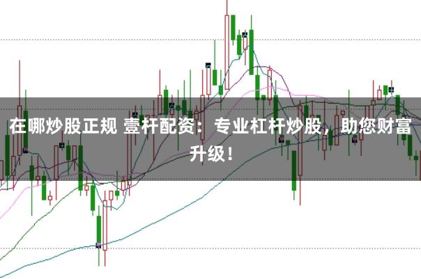 在哪炒股正规 壹杆配资：专业杠杆炒股，助您财富升级！