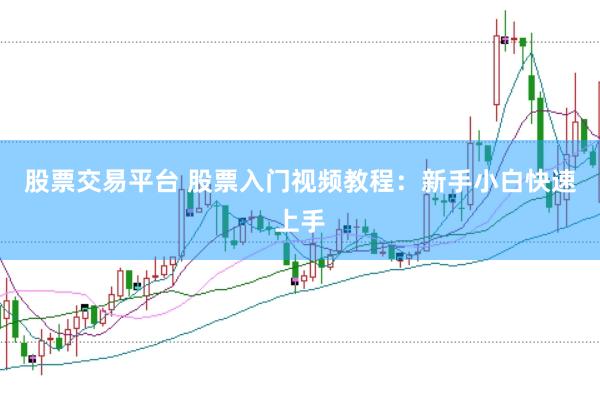 股票交易平台 股票入门视频教程：新手小白快速上手