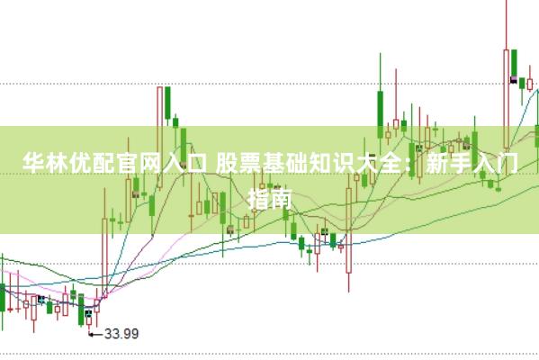 华林优配官网入口 股票基础知识大全：新手入门指南