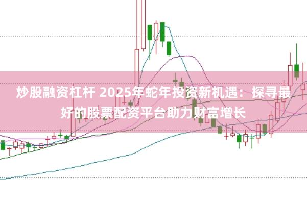 炒股融资杠杆 2025年蛇年投资新机遇：探寻最好的股票配资平台助力财富增长