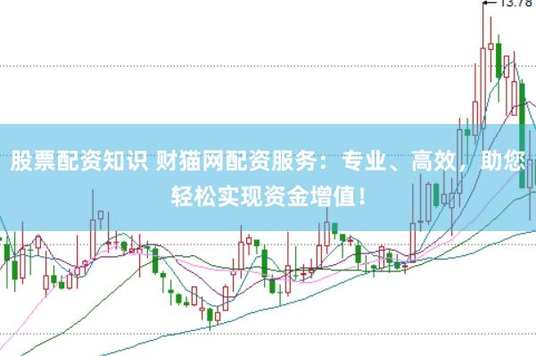 股票配资知识 财猫网配资服务：专业、高效，助您轻松实现资金增值！