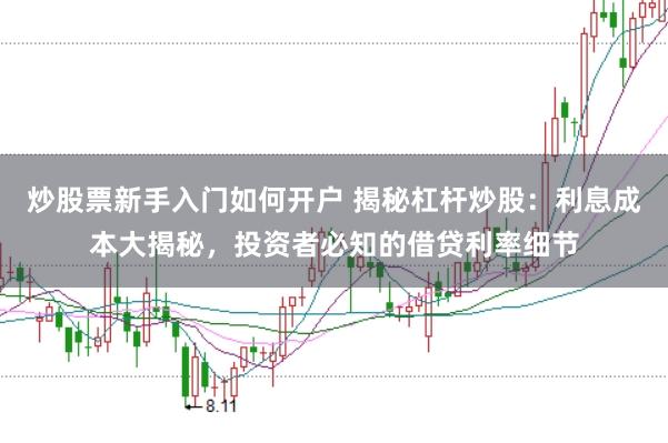 炒股票新手入门如何开户 揭秘杠杆炒股:利息成本大揭秘,投资者必知的借贷利率细节
