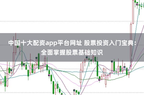 中国十大配资app平台网址 股票投资入门宝典:全面掌握股票基础知识