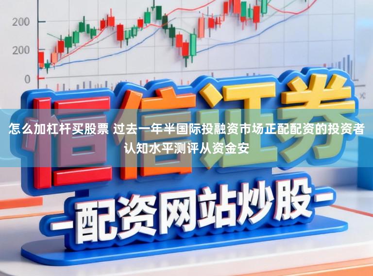 怎么加杠杆买股票 过去一年半国际投融资市场正配配资的投资者认知水平测评从资金安